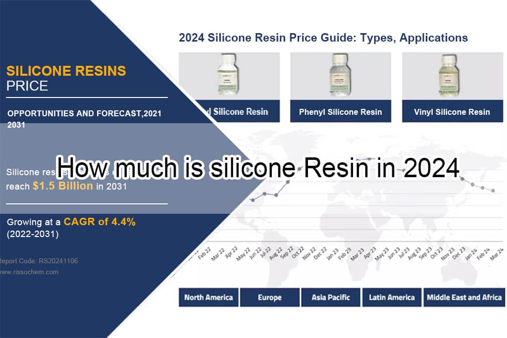 How much is silicone Resin in 2024