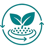Continuous Innovation icon