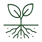Support Root Development icon